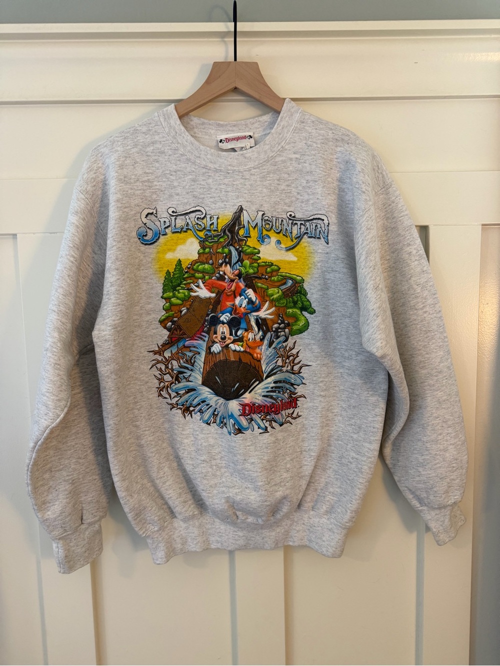 Vintage Splash Mountain Sweatshirt